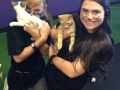 Kitties and Employees