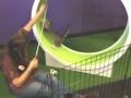 Kitty Wheel